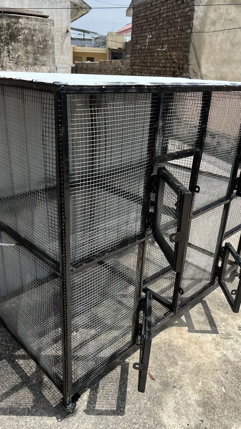 Cage brand new 5*4 — photo 3