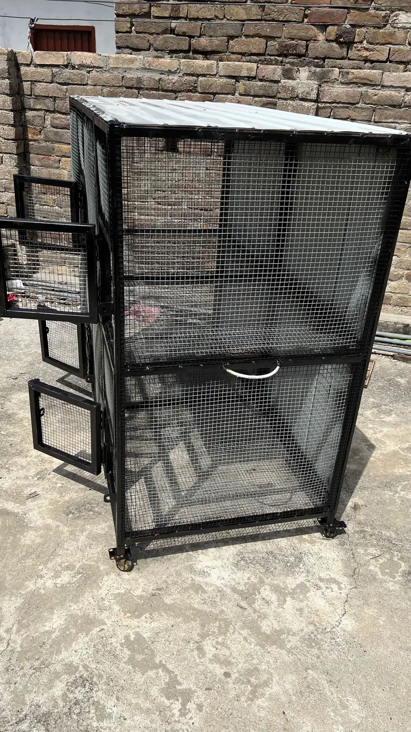 Cage brand new 5*4 — photo 7
