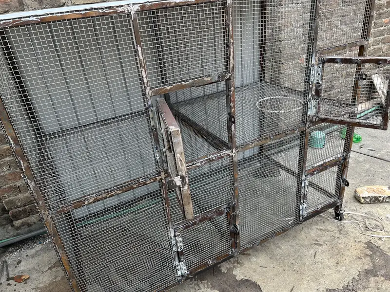 Cage brand new 5*4 — photo 8