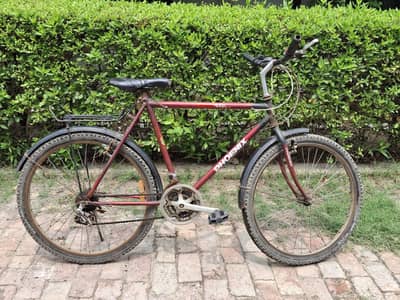 Phoenix 18-Speed Geared Cycle