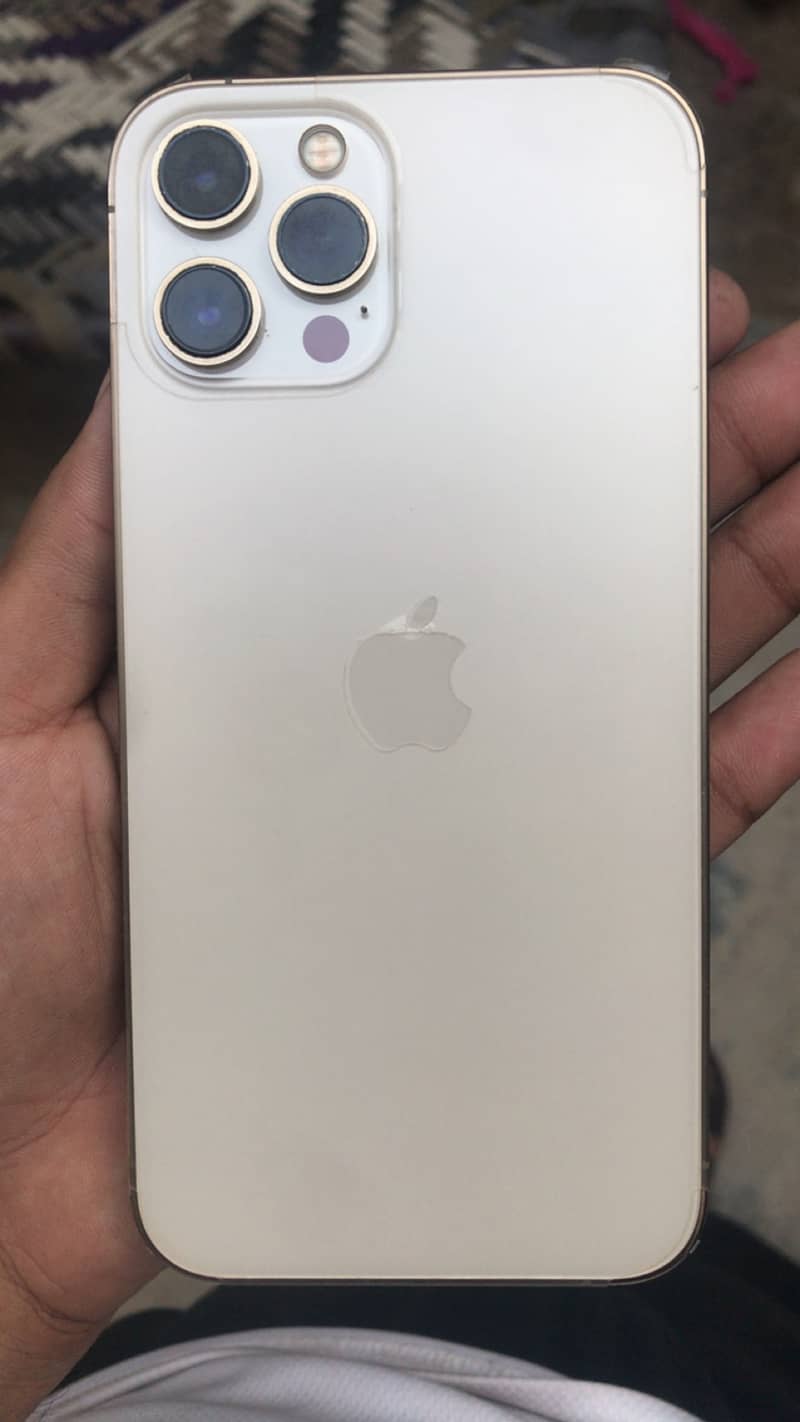 Apple iPhone 12 Pro Max 1