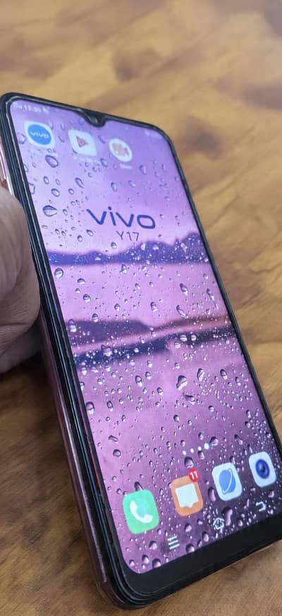Vivo Y17 8gb 256 gb