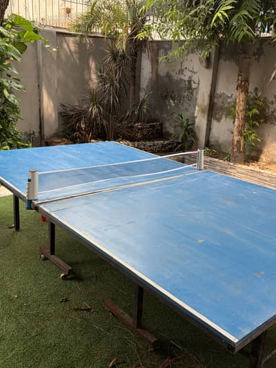 Table tennis tables / table tennis