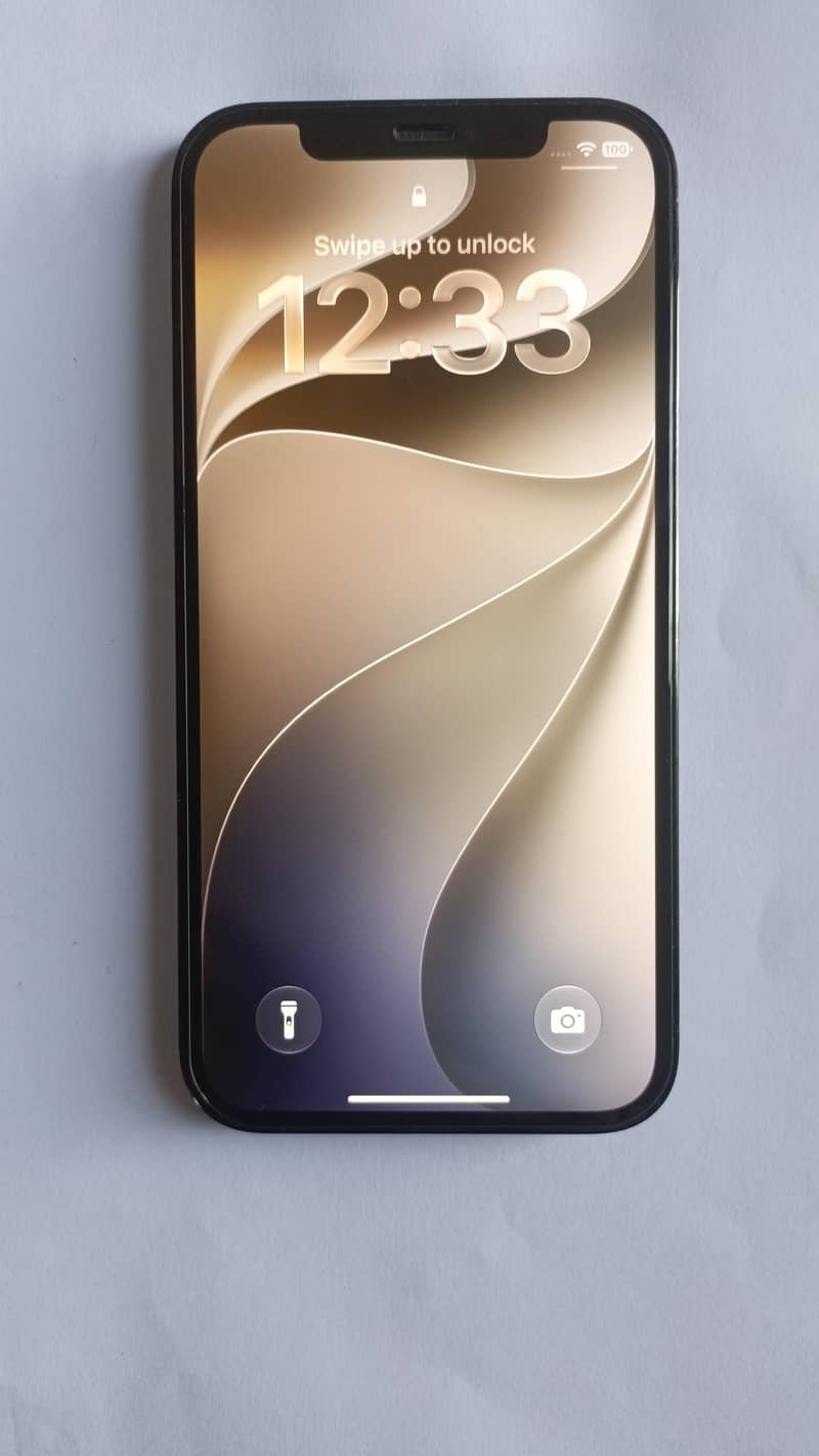 Apple iPhone 12 Pro 1