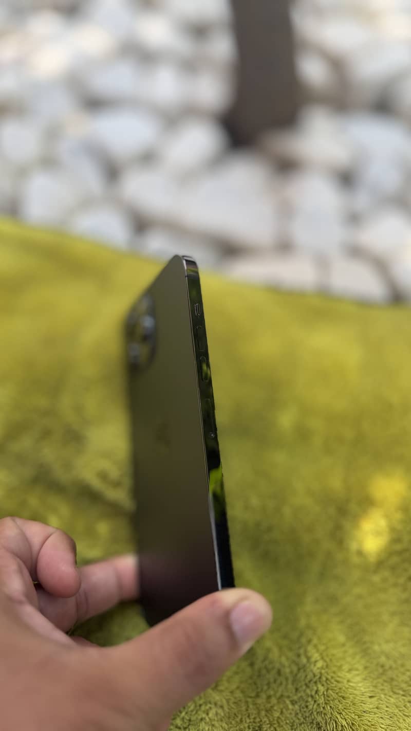 Apple iPhone 13 Pro Max 1