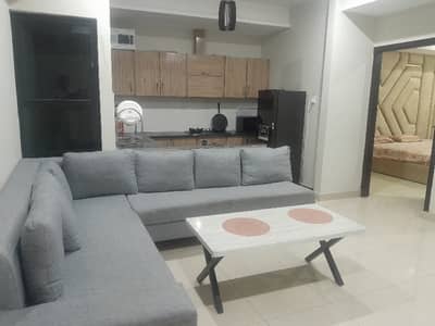 luxuriously furnished 2 bedroom apartment/A block/B-17