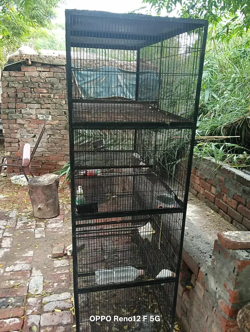 Cages / Iron Cages / 2 pigeons cages /16 Box per box size 2*2 — photo 2