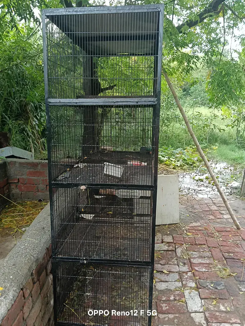 Cages / Iron Cages / 2 pigeons cages /16 Box per box size 2*2 — photo 3