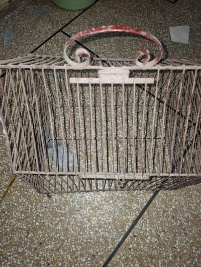 Parrot cage 1 Parrot cage