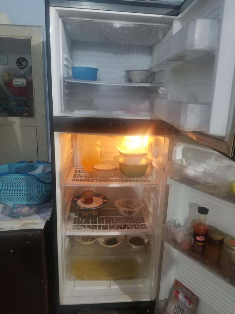 pel refrigerator 1