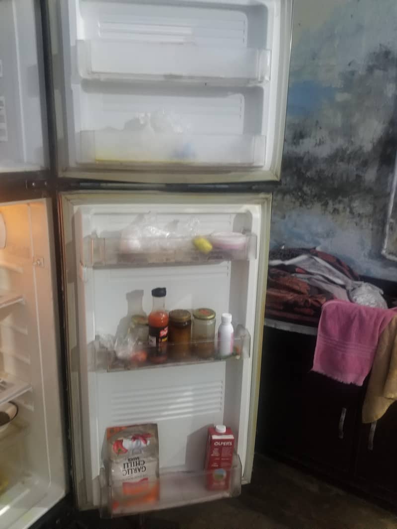 pel refrigerator 2