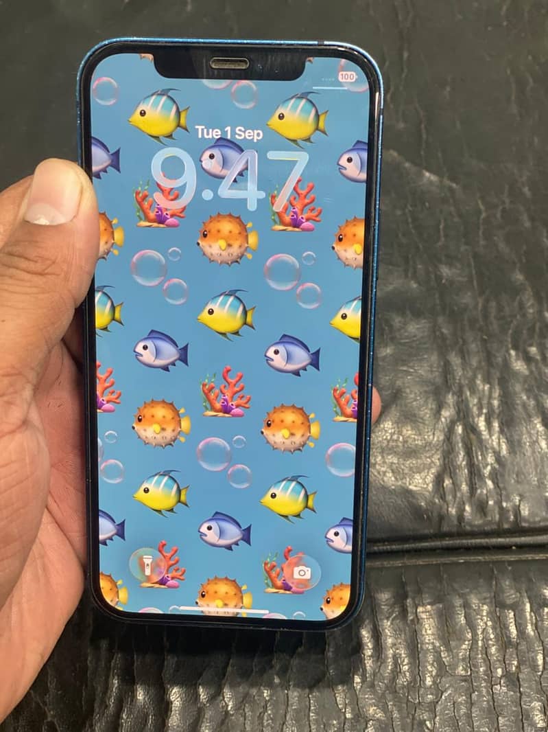 Apple iPhone 12 1