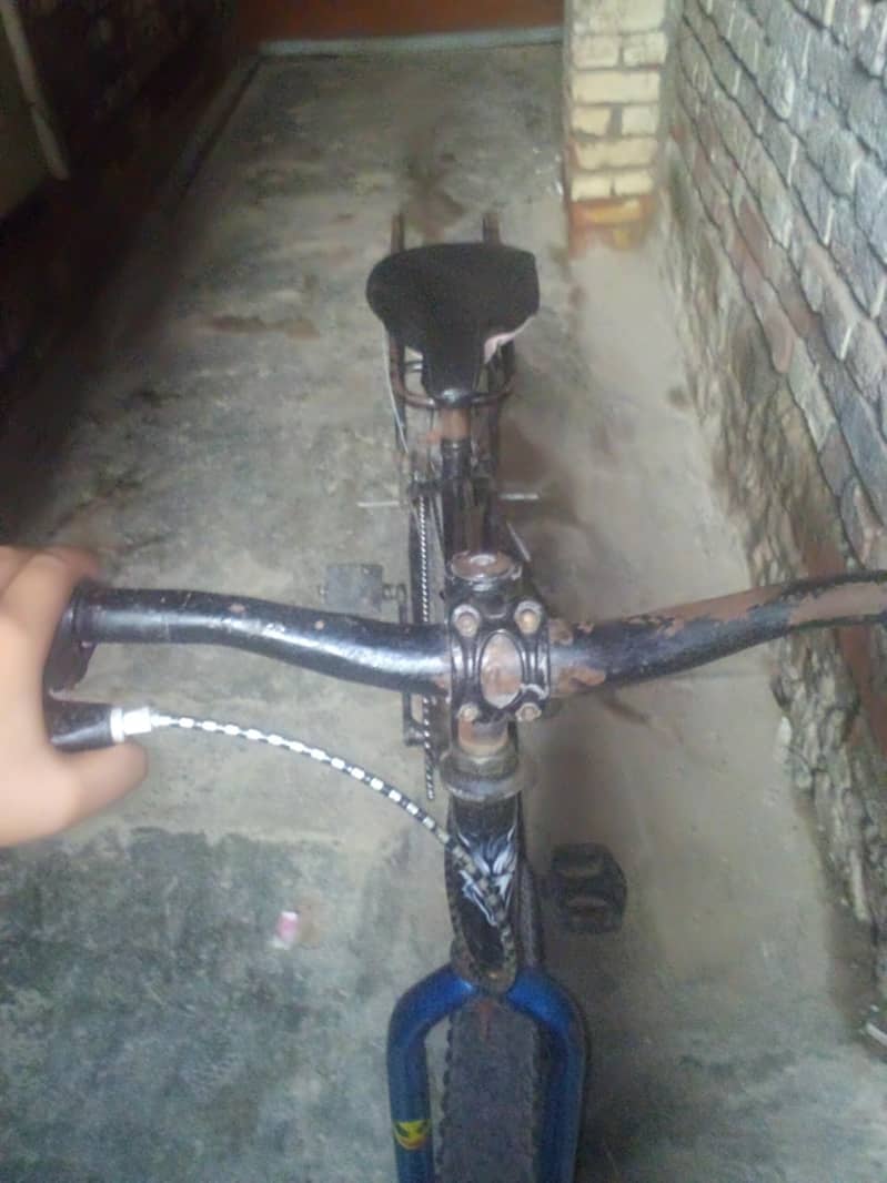 cical 3