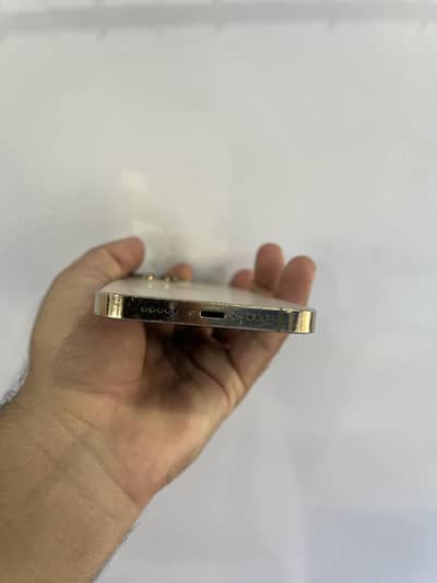 Apple iPhone 13 Pro