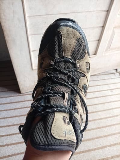 Original Imported Hiking/Trekking Shoes