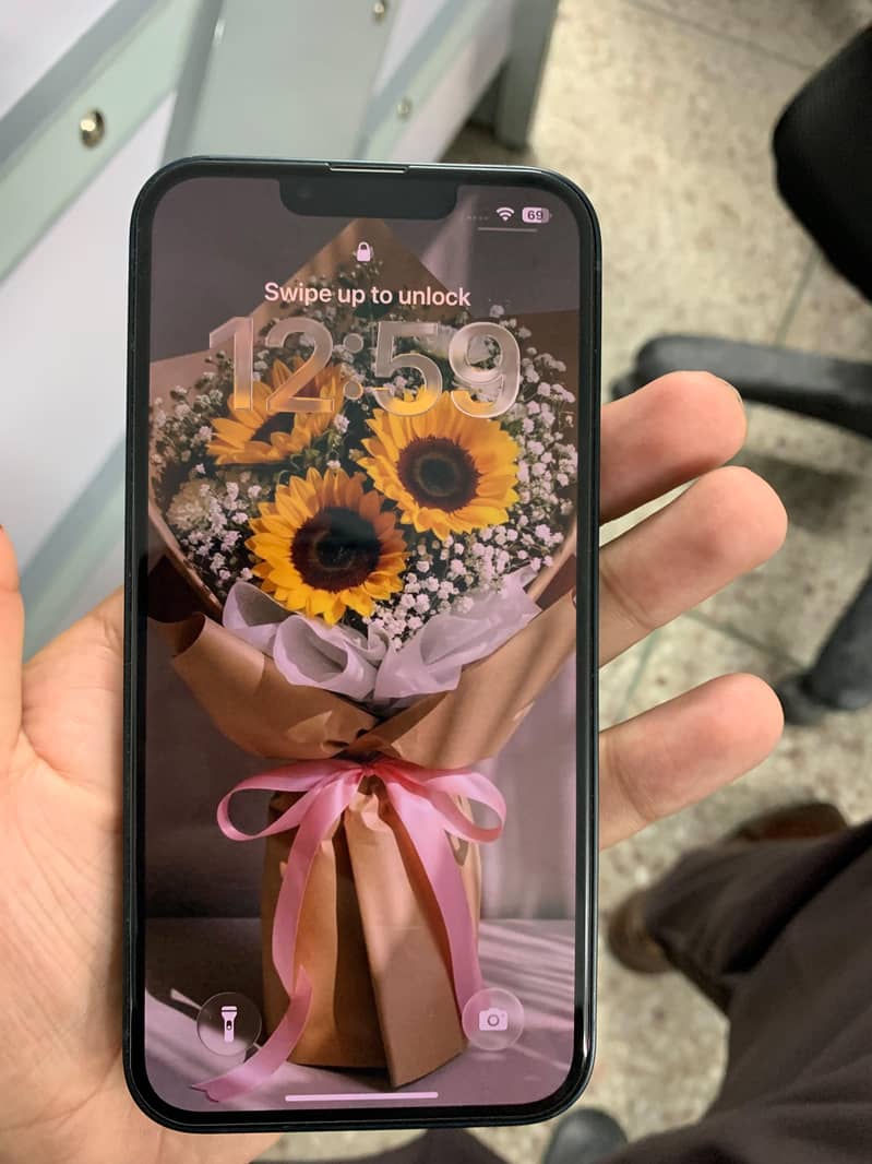 Apple iPhone 13 0