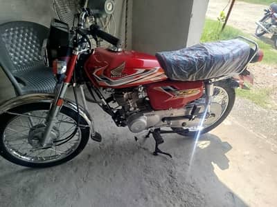 2027 sticker brand new