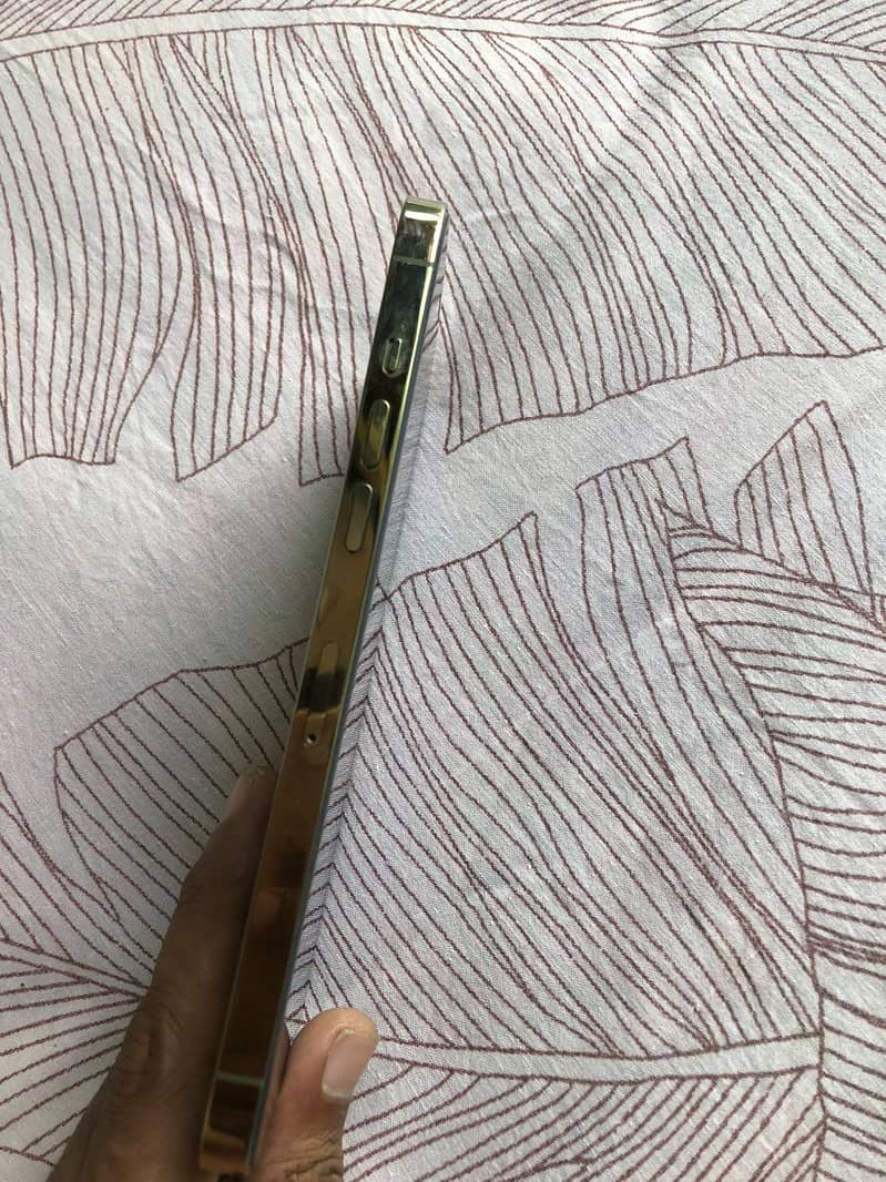 Apple iPhone 12 Pro Max 0