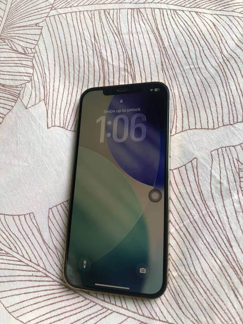 Apple iPhone 12 Pro Max 1