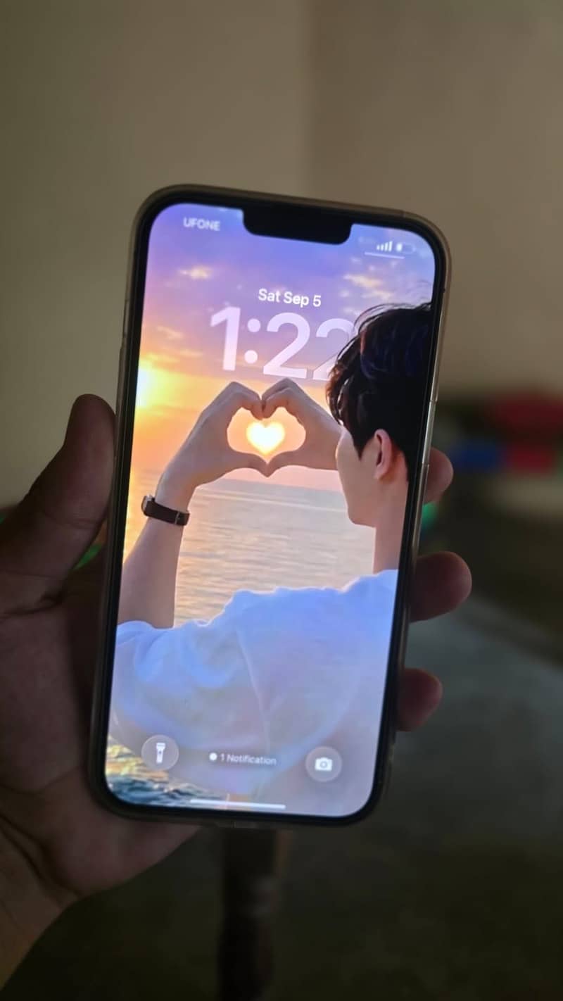 Apple iPhone 13 Pro Max 0