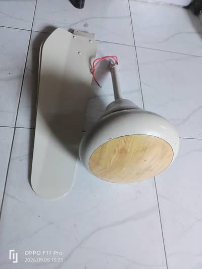 selling fan