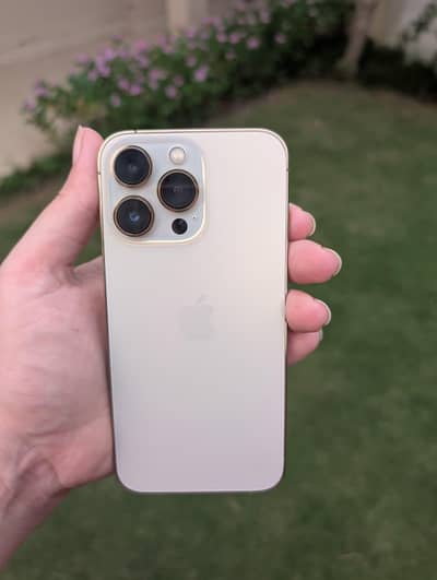 Apple iPhone 13 Pro