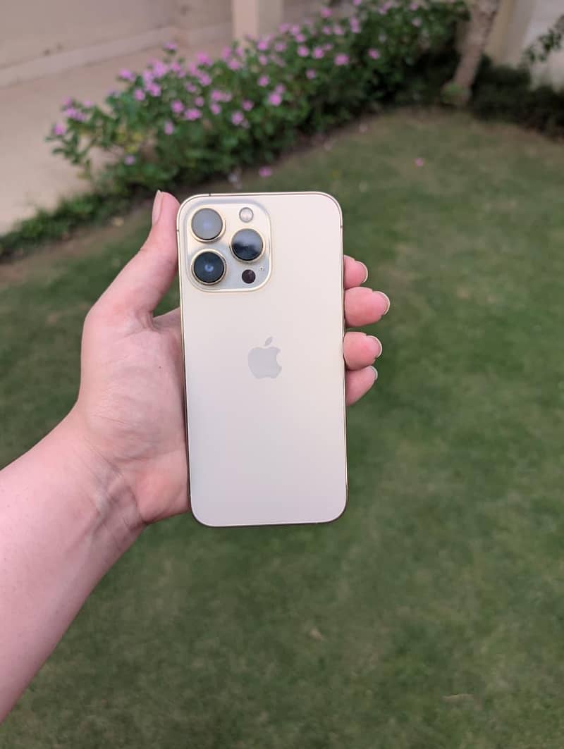 Apple iPhone 13 Pro 1