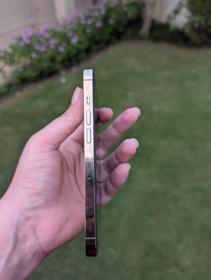 Apple iPhone 13 Pro 6