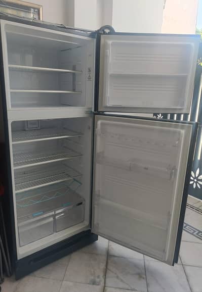 Kenwood Refrigerator