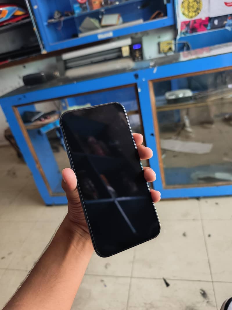Apple iPhone 13 Pro Max 1