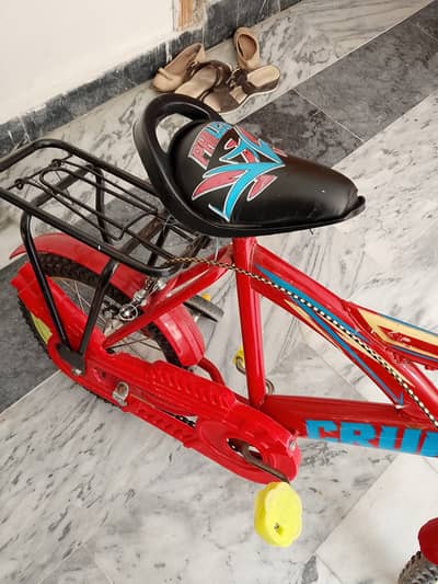 Bicycle children