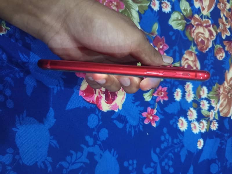 Apple iPhone 11 3