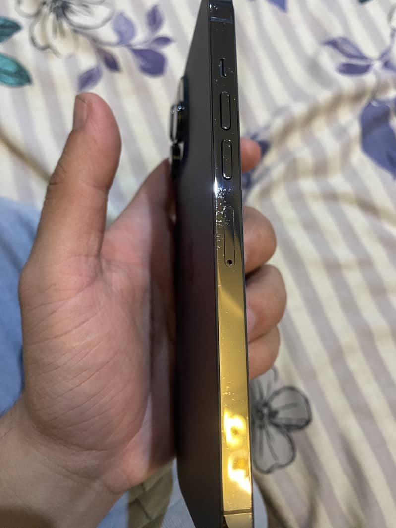 Apple iPhone 13 Pro Max 6
