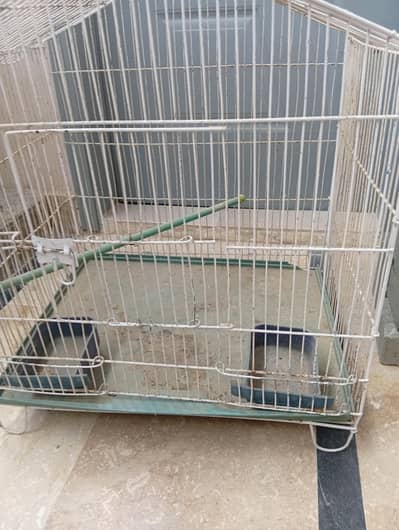 parrots cage