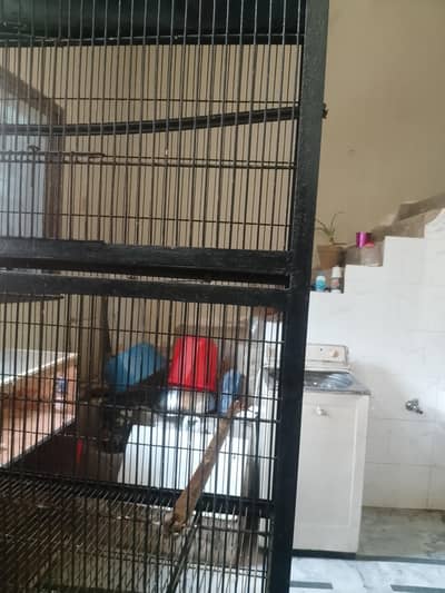 cage for sale