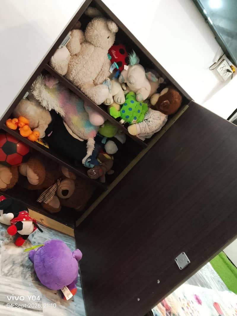 Mini Cabinet 1