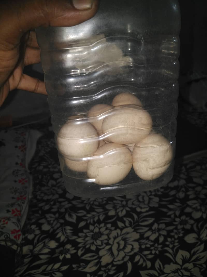 Anda sell 1