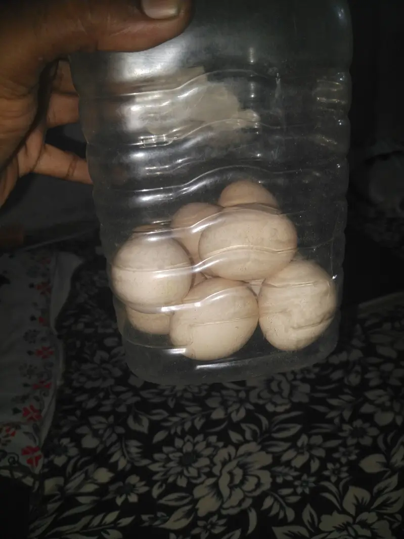 Anda sell — photo 2