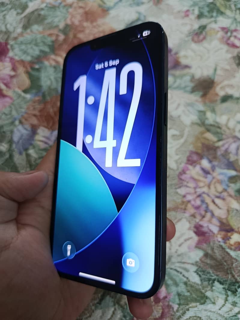 Apple iPhone 13 0