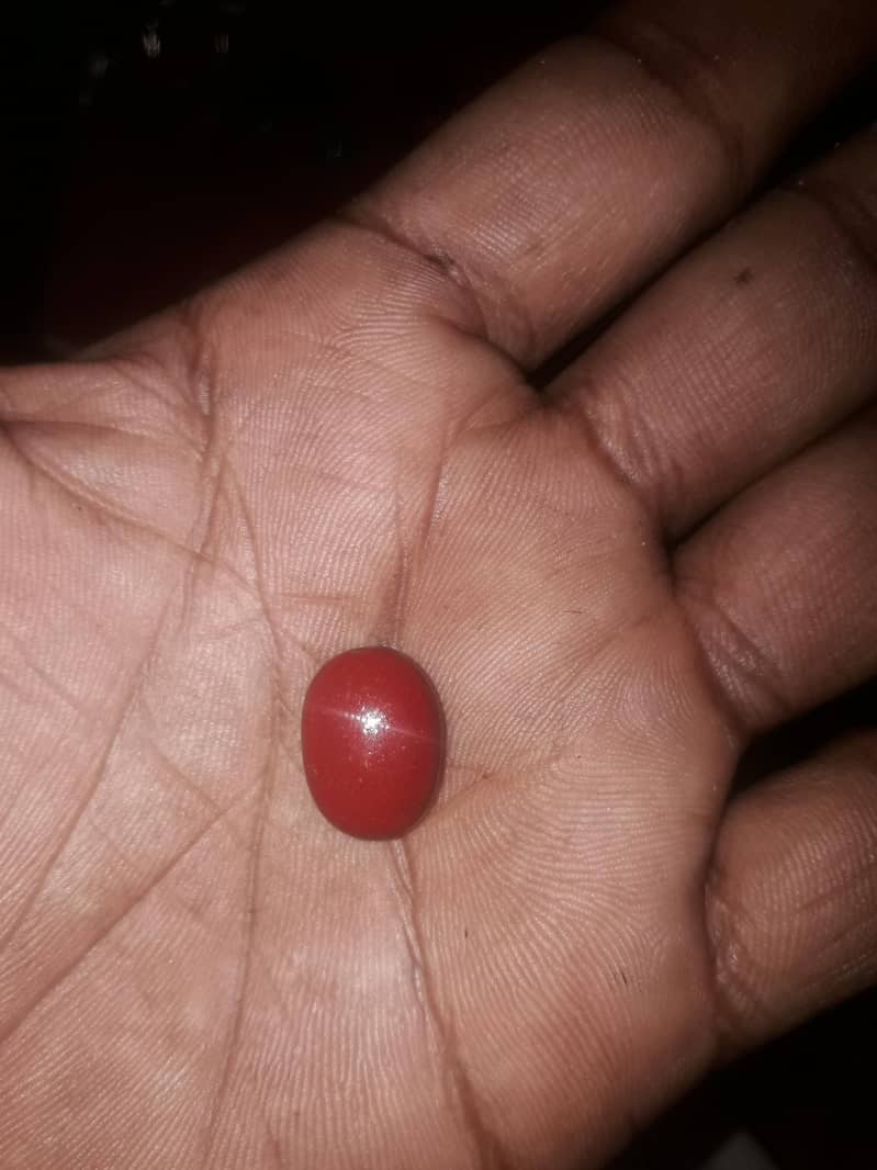 pathar 11