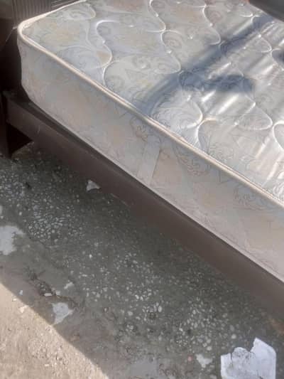 single beds and molty foam