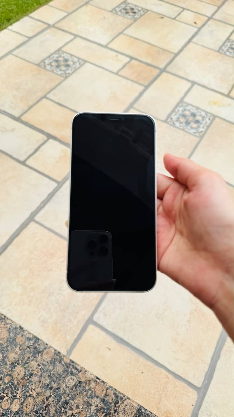 Apple iPhone 12 1
