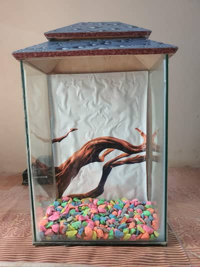 Fish Aquarium With Beautiful Gravels