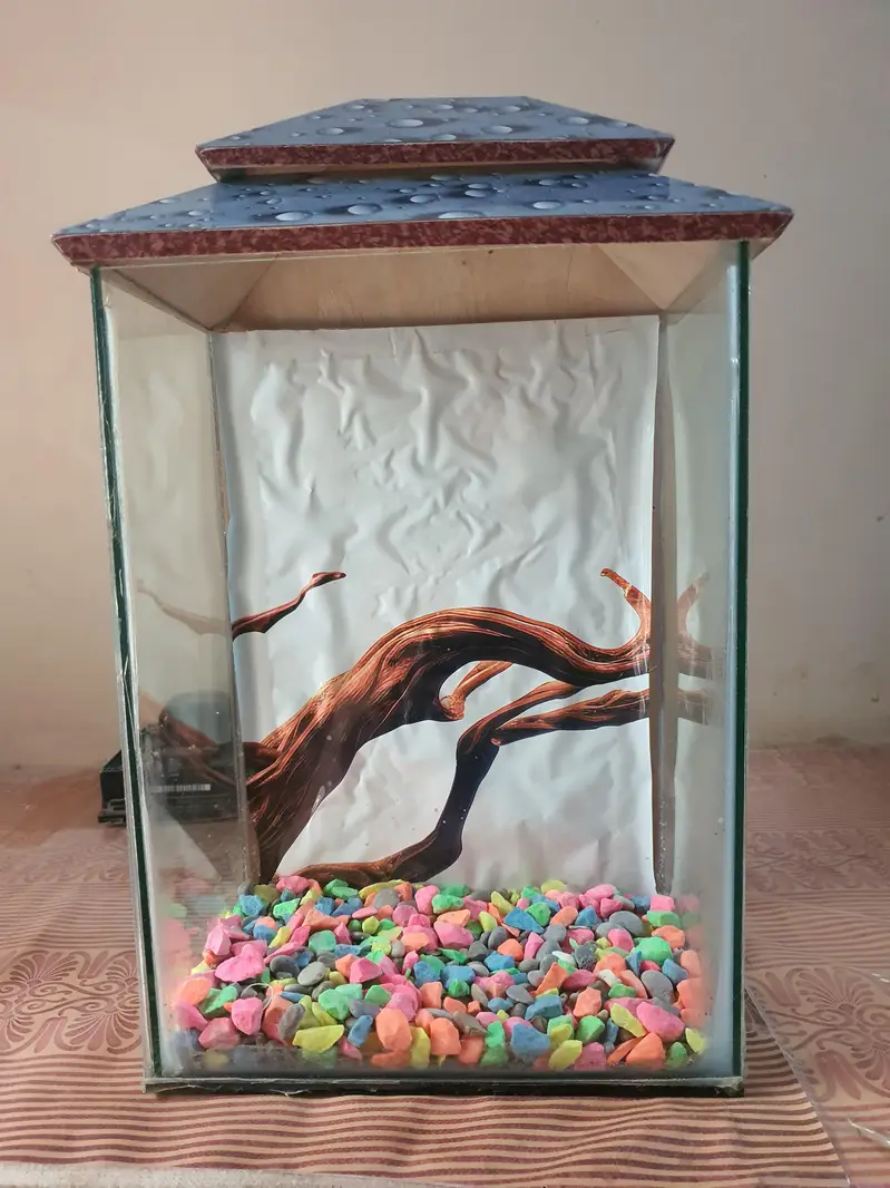 Fish Aquarium With Beautiful Gravels