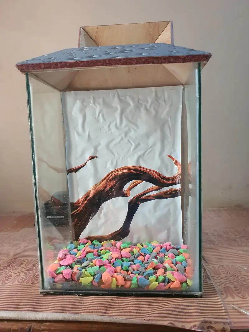 Fish Aquarium With Beautiful Gravels — photo 2