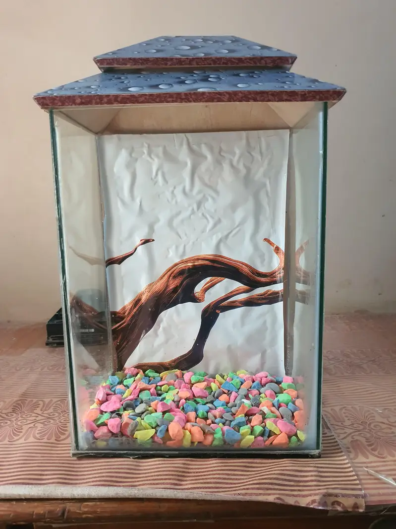 Fish Aquarium With Beautiful Gravels — photo 3