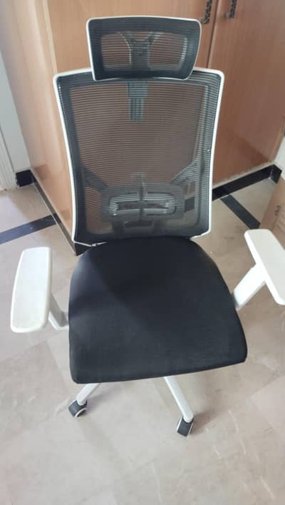 Ergonomic Chair