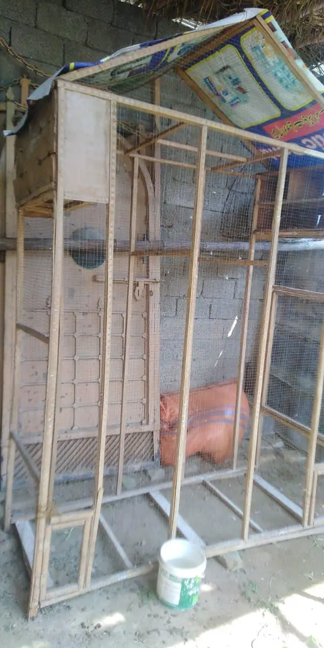Hand made cage available — photo 2