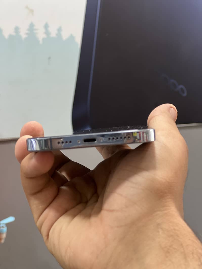 Apple iPhone 13 Pro Max 1