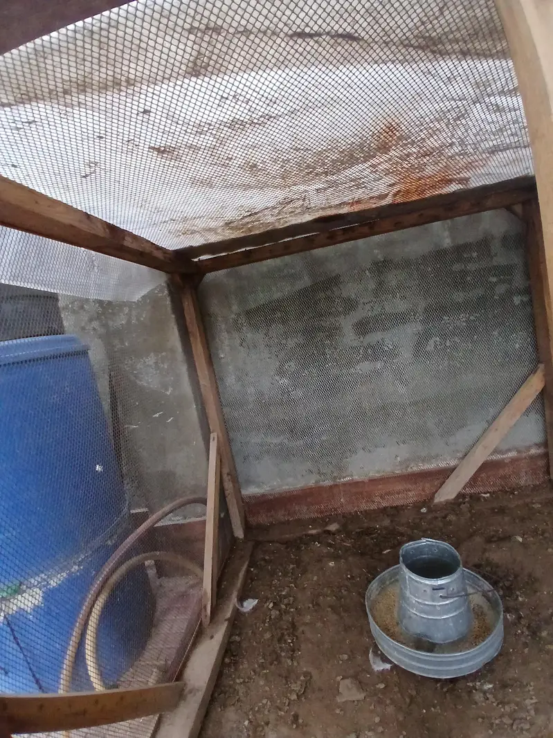 wooden cage — photo 3